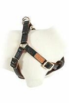 Postroj pes MAYFAIR nastaviteľný čierny 25mm Zolux