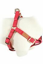 Postroj pes MAYFAIR nastaviteľný červený 25mm Zolux