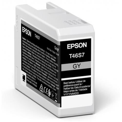 Epson Singlepack Gray T46S7 Ultrachrome C13T46S700