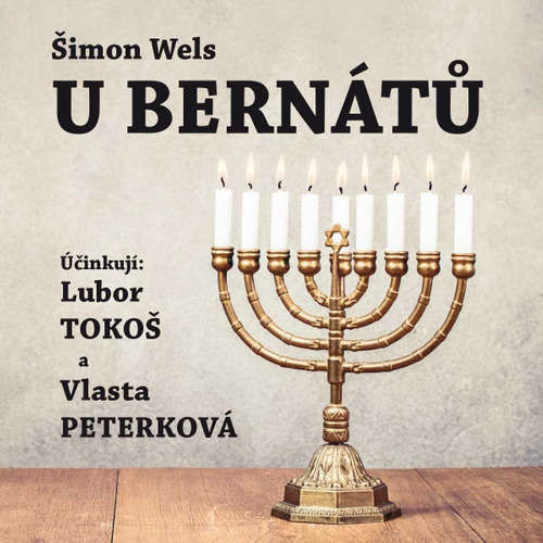 U Bernátů - Šimon Wels (mp3 audiokniha)