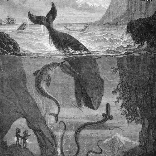 Dvacet tisíc mil pod mořem - Jules Verne (mp3 audiokniha)