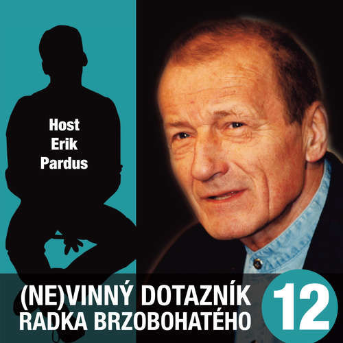 (Ne)vinný dotazník Radka Brzobohatého 12. - Radoslav Brzobohatý (mp3 audiokniha)