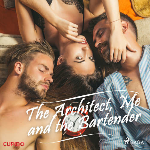 The Architect, Me and the Bartender (EN) - Cupido And Others (mp3 audiokniha)