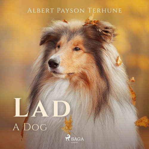 Lad: A Dog (EN) - Albert Payson Terhune (mp3 audiokniha)