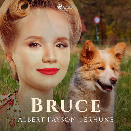 Bruce (EN) - Albert Payson Terhune (mp3 audiokniha)