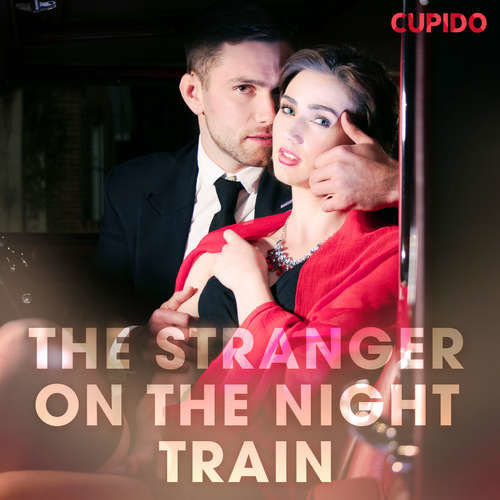 The Stranger on the Night Train (EN) - Cupido And Others (mp3 audiokniha)
