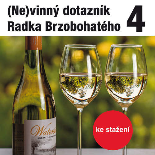 (Ne)vinný dotazník Radka Brzobohatého 4. - Radoslav Brzobohatý (mp3 audiokniha)