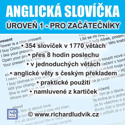 Anglická slovíčka - úroveň 1 pro začátečníky - Richard Ludvík (mp3 audiokniha)