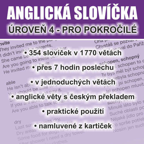 Anglická slovíčka - úroveň 4 pro pokročilé - Richard Ludvík (mp3 audiokniha)
