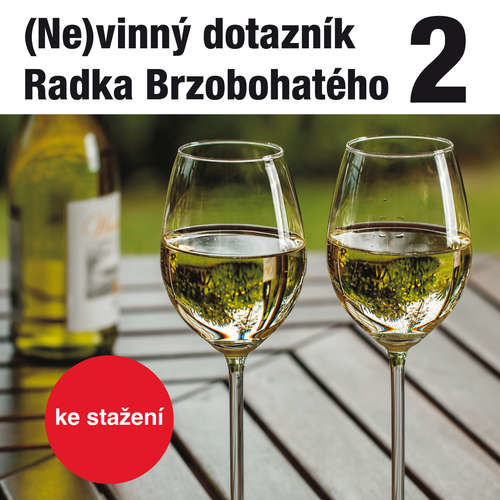 (Ne)vinný dotazník Radka Brzobohatého 2. - Radoslav Brzobohatý (mp3 audiokniha)