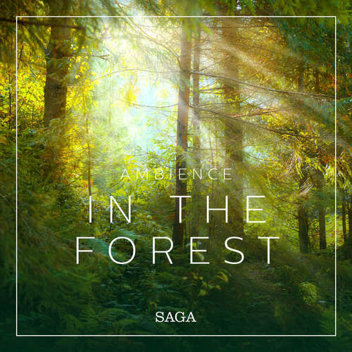 Ambience - In the Forest (EN) - Rasmus Broe (mp3 audiokniha)