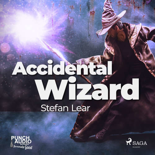 Accidental Wizard (EN) - Stefan Lear (mp3 audiokniha)