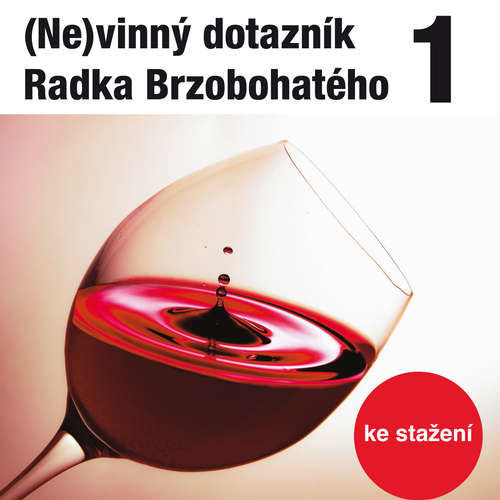 (Ne)vinný dotazník Radka Brzobohatého 1. - Radoslav Brzobohatý (mp3 audiokniha)