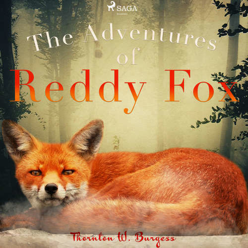The Adventures of Reddy Fox (EN) - Thornton W. Burgess (mp3 audiokniha)