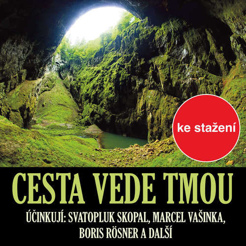 Cesta vede tmou - Petr Němec (mp3 audiokniha)