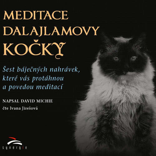 Meditace dalajlamovy kočky - David Michie (mp3 audiokniha)