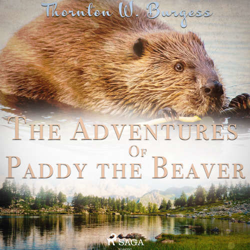 The Adventures of Paddy the Beaver (EN) - Thornton W. Burgess (mp3 audiokniha)