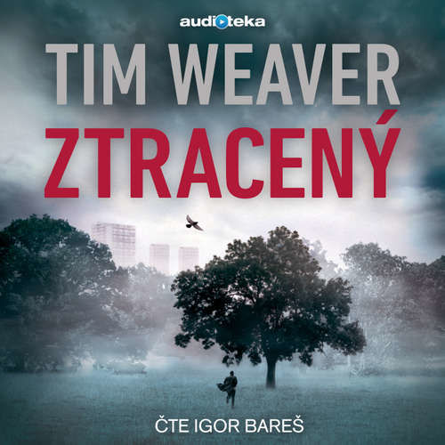 Ztracený - Tim Weaver (mp3 audiokniha)
