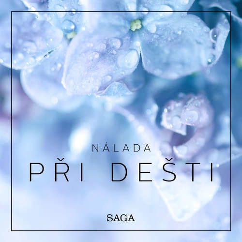 Nálada – Při dešti - Rasmus Broe (mp3 audiokniha)