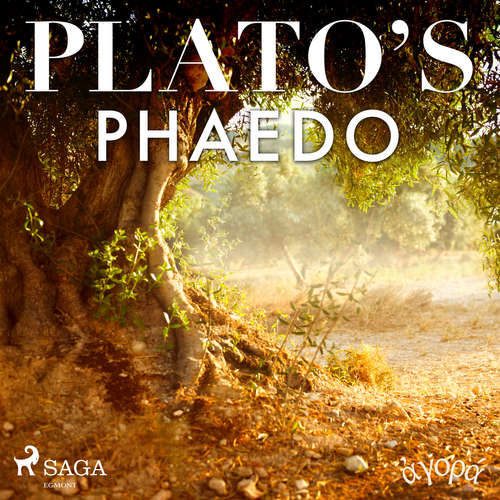 Plato’s Phaedo (EN) - – Plato (mp3 audiokniha)