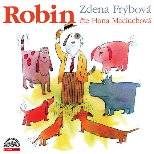 Robin - Zdena Frýbová (mp3 audiokniha)