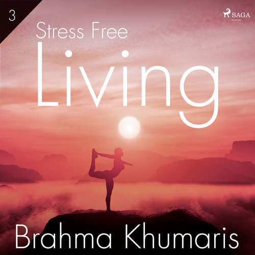 Stress Free Living 3 (EN) - Brahma Khumaris (mp3 audiokniha)
