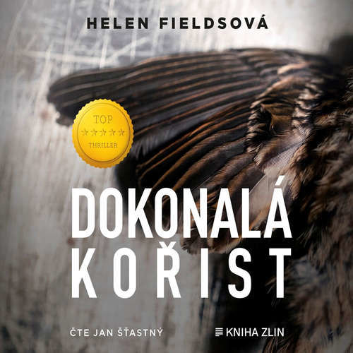 Dokonalá kořist - Helen Fieldsová (mp3 audiokniha)