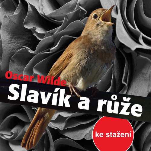 Slavík a růže - Oscar Wilde (mp3 audiokniha)