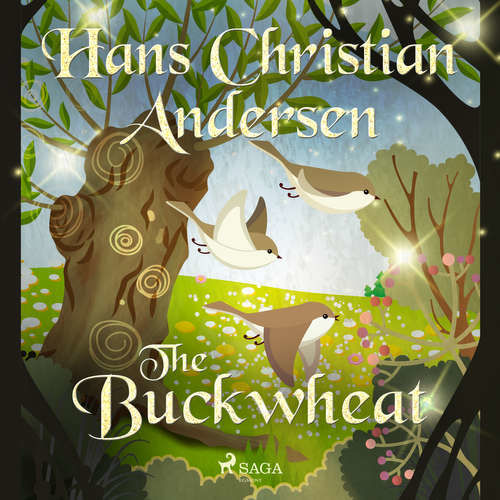 The Buckwheat (EN) - Hans Christian Andersen (mp3 audiokniha)