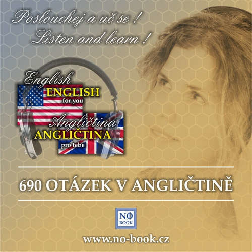 690 otázek v angličtině - od začátečníků po středně pokročilé - Richard Ludvík (mp3 audiokniha)