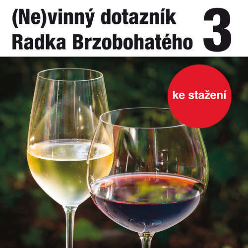 (Ne)vinný dotazník Radka Brzobohatého 3. - Radoslav Brzobohatý (mp3 audiokniha)