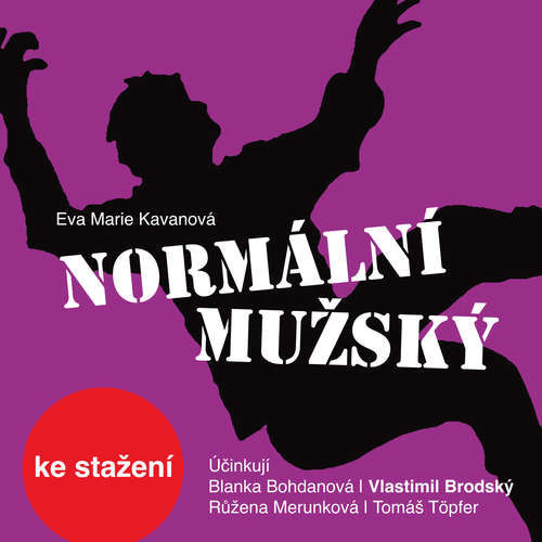 Normální mužský - Eva Marie Kavanová (mp3 audiokniha)