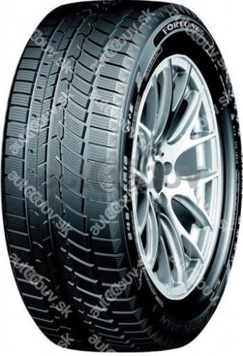 Fortune FSR901 205/55R16 91H