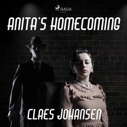 Anita’s Homecoming (EN) - Claes Johansen (mp3 audiokniha)