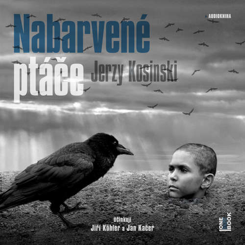 Nabarvené ptáče - Jerzy Kosinski (mp3 audiokniha)