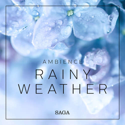 Ambience - Rainy Weather (EN) - Rasmus Broe (mp3 audiokniha)