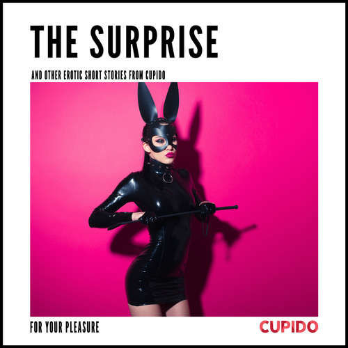 The Surprise - and other erotic short stories from Cupido (EN) - – Cupido (mp3 audiokniha)