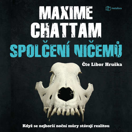 Spolčení ničemů - Maxime Chattam (mp3 audiokniha)