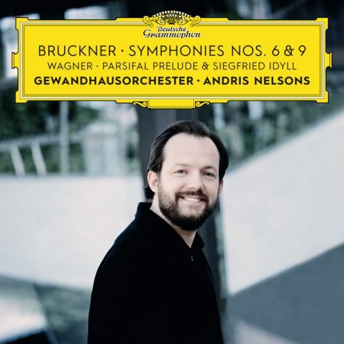 CD NELSONS/GEWANDHAUSORCHEST. - SYMFONIE 6,9