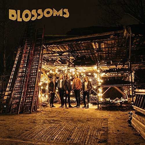 CD BLOSSOMS - BLOSSOMS