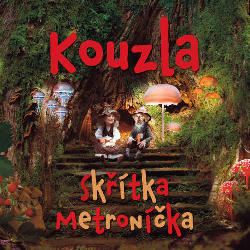 Kouzla skřítka Metroníčka - Alena Riegerová (mp3 audiokniha)