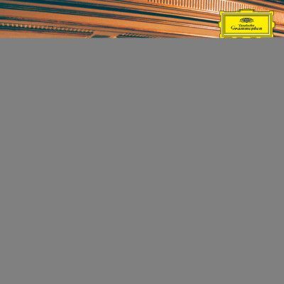 CD LOFFLER CHRISTIAN - PARALLELS: SHELLAC REWORKS