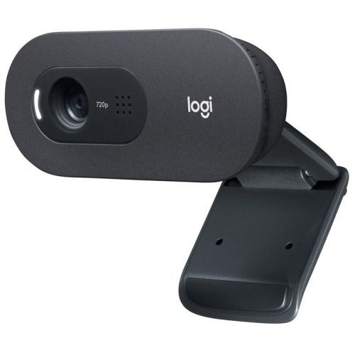 Webkamera Logitech C505e HD Business čierna (960-001372...