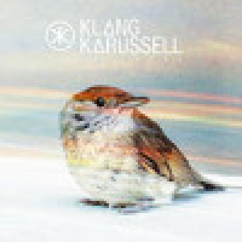 CD KLANGKARUSSELL - NETZWERK