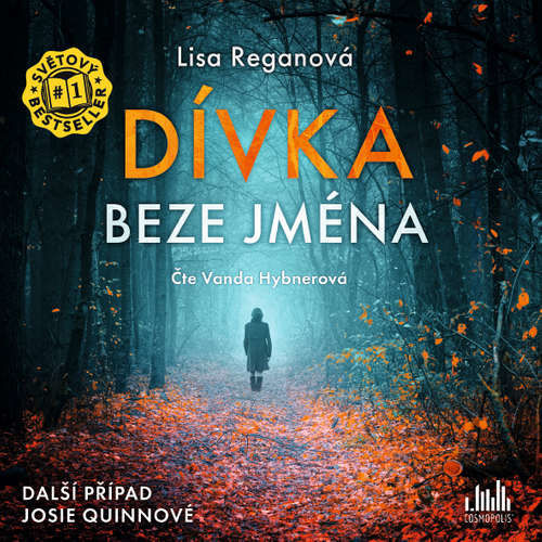 Dívka beze jména - Lisa Reganová (mp3 audiokniha)