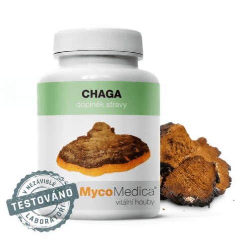 Chaga v optimálnej koncentrácii MycoMedica 90 rastlinných kapsúl