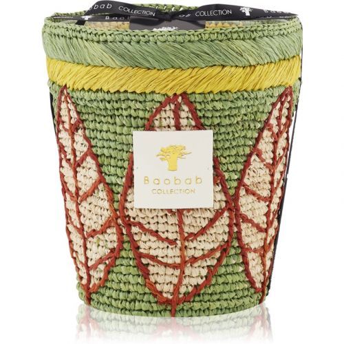 Baobab Ravintsara Ravina vonná sviečka 16 cm