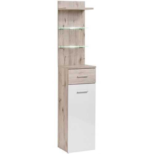 Szafka Gustawo TYPB+C Dub Wellington/biely