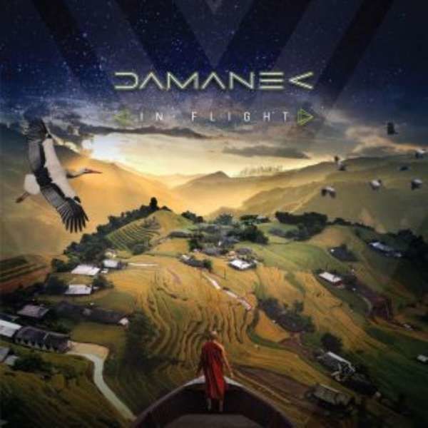 CD DAMANEK - IN FLIGHT