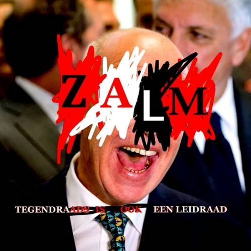 Vinyl ZALM - TEGENDRAADS IS OOK EEN LEIDRAAD